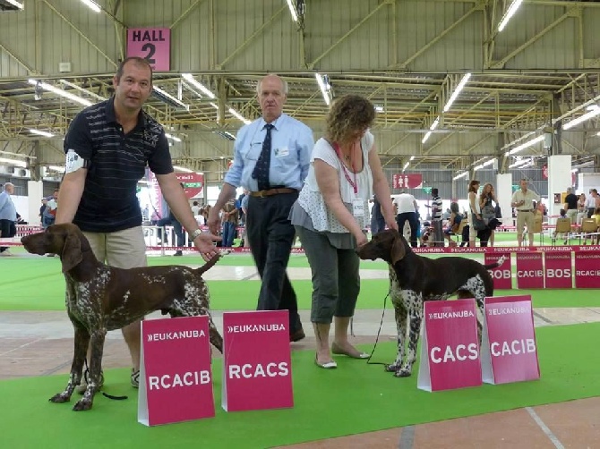 des champs de blé doré - Championnat de France 2015