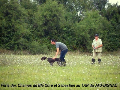 des champs de blé doré - Bravo à 4 petits Champs de Blé Doré!